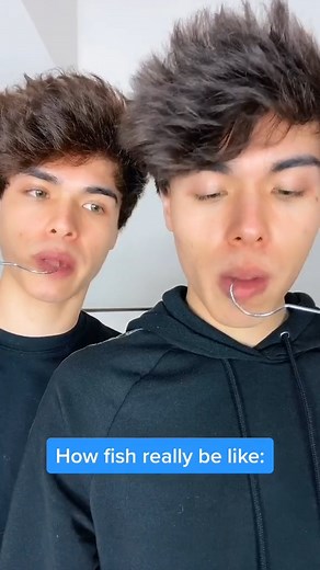75K views · 1.5K reactions | The mind of a fish | Stokes Twins | Facebook
