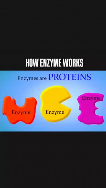 How enzyme works 💪💪#students #viralvideo #nursingstudent #doctors #medical #millionviews #Biology #biology #viral #enzyme #Biology #foryou #foryoupage
