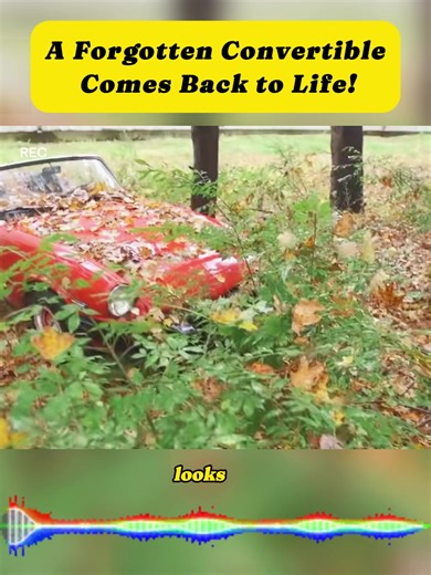 Restoring a Forgotten Convertible to Glory