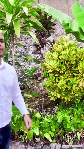 Libro Dios libertad a Venezuela en PDF Disponible, Escribe al número De contacto 04121445630 #venezuela #tiktok #viral #profetadanielriquezes