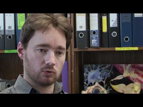 Myelin Repair