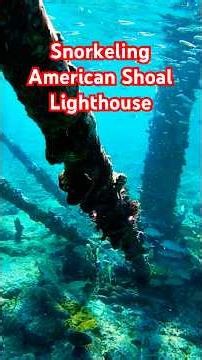 What is underneath this lighthouse in the Florida Keys? Snorkeling American Shoal Lighthouse