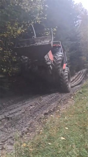 Forest Beast Mode 🚜 Zetor Forterra Pulling Heavy Logs on Two Wheels! #tractor #zetor #logging