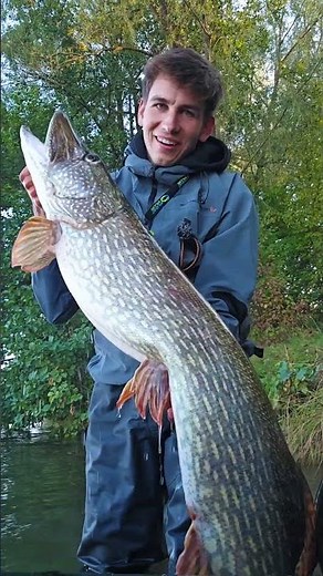 128cm GIANT Pike from the Bank! 😱 #4Play #SavageGear #pikefishing #fishing