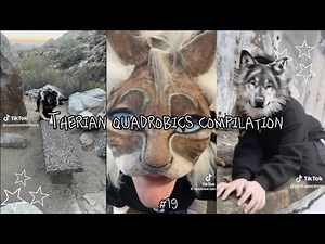 Therian quadrobics Compilation || #19 ||