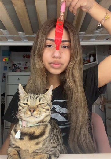 How to Create Thunder Effects in Videos