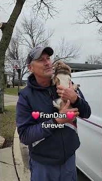 Postman Dan's NEW VEHICLE, and more media attention for Frannie to navigate.