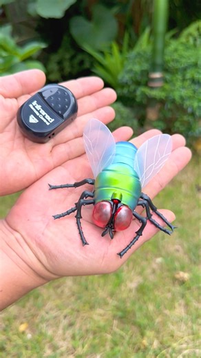Remote Control Simulation Housefly 🪰😘😘