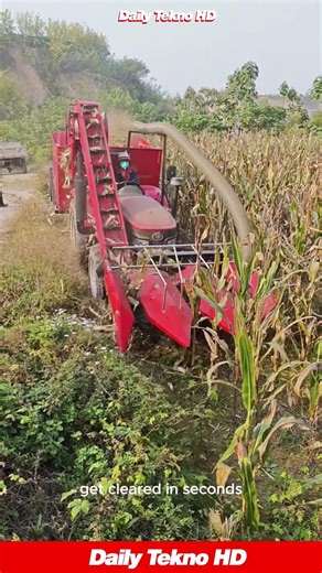 The Most SATISFYING 🌽 Harvest You Will See Today #CornHarvester