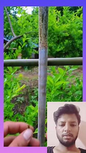 76K views · 166 reactions | Wood frame straw rope fixing process | Mouse trap 2022 | Facebook