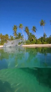 37K views · 977 reactions | The clear waters of Mentawai Islands in...