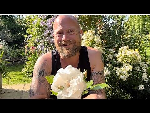 Personal review of rose “ Jacqueline de pre”from ‪@harknessroses4035‬ .#gardenerben