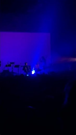 accordion solo with louis cole