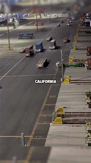“This Port Runs Itself — No Humans Needed " #futuretech #innovation #tech #technews