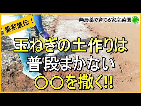 [Onion Growing] Add This to Your Soil Prep to Boost Success! [Tips from an Organic Farmer! Growin...