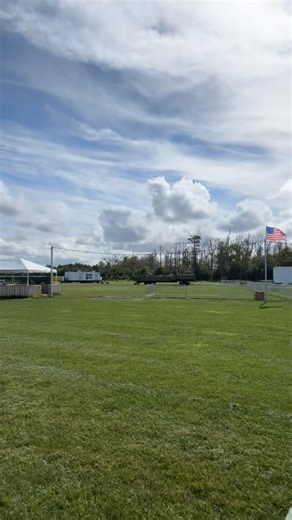 It’s almost time to SHAG ON THE FARM🎶 Chet’s here to tell you — tomorrow’s the day! Food trucks, ice-cold margaritas, and beach music from The Tams, The Embers & The Original Rhondels starting at 3:30pm. 🎟️ Grab your tickets NOW — they’re $10 more at the gate, so lock them in today and save! Gates open at 3pm, and we’re ready to dance the night away! https://www.etix.com/ticket/p/33044301/shagginon-the-farm-barco-morris-farm-back-40-live?gclid= | Morris Farm