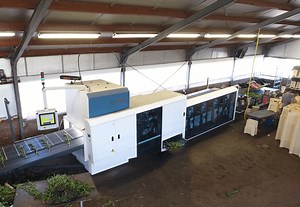 Sorting and Bunching Machine for Flowers | Agro-Technology