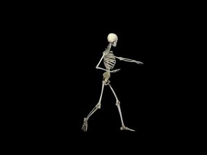 dancing skeleton meme