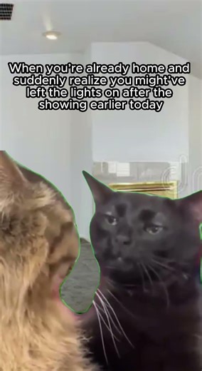 When you might’ve left the lights on after the showing earlier today