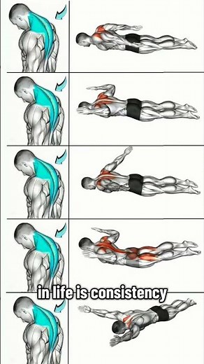 🦾 Neck Strengthening Exercises | Improve Posture & Prevent Neck Pain 💪