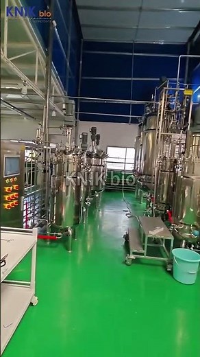50L100L1000L Algae Cultivation Bioreactor | KNIKbio