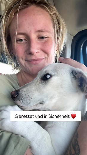 Wie schlimm die Situation mit strassenhunden in Griechenland und im Balkan ist, hätten wir niemals gedacht :( | Captain_bluebear_adventures