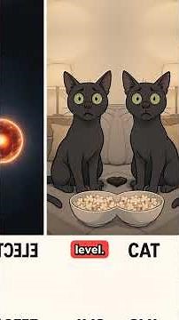 understanding superposition in physics