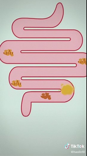 The process of human body farting. #fart #process #foryou