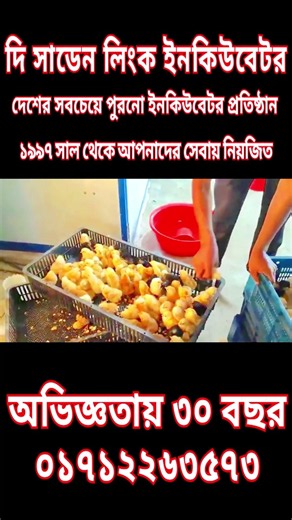 The sudden Link Incubator Co. 01712263573