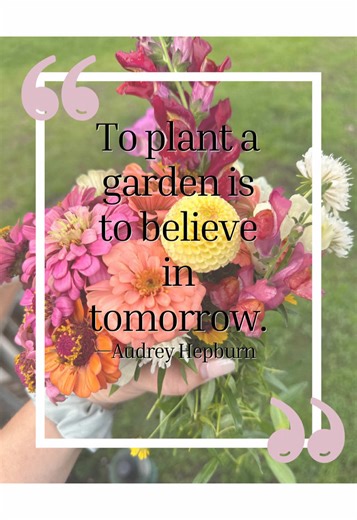 I didn’t know how to grow a single thing… but I knew I wanted something different. Something slower. Wilder. Rooted. This is the beginning of The Barefoot Acre — a place where we’re learning to grow a garden, raise a barefoot boy, build a home from scratch, and live a life of deep, simple faith. 🌱 We’re making mistakes, chasing sunsets, and trusting the process — from seed to harvest and everything in between. If you’re longing for a slower life, you’re not alone. Let’s grow together. 🏡✨ → Tap