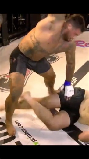 Sparks vs Salgado SSP67 #mma #ufc #heavyweight