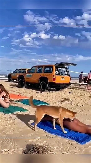 Anthony Joshua and Jake Paul Open Workouts Preview