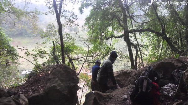 Ancient Denisovan tooth discovered in cave in South-East Asia's Laos