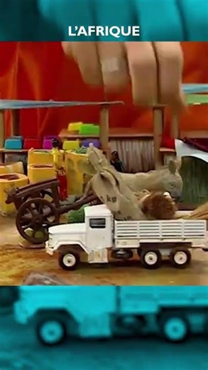 #science #experience #jamy