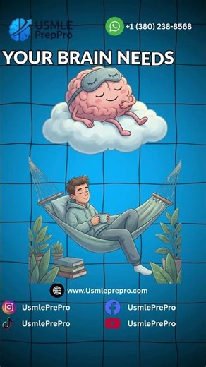 The Best Way to Spend the Day Before Your USMLE | USMLE PrepPro