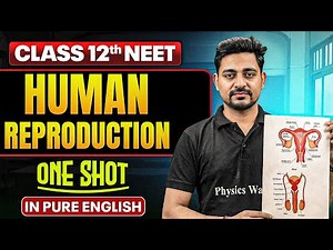 HUMAN REPRODUCTION | Class 12th One Shot | Complete NEET Zoology in Pure English