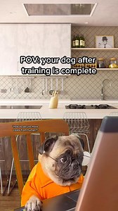 17K views · 109 reactions | POV: your dog just finished their...