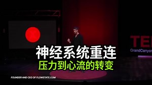 【双语音】神经系统重连：压力到心流的转变 [附文稿]
