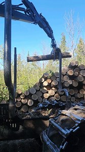 Ash Log Making it way Roadside 👍🪵 #Trees #logger #wood #equipment #machinery #Ash | Logger Mack