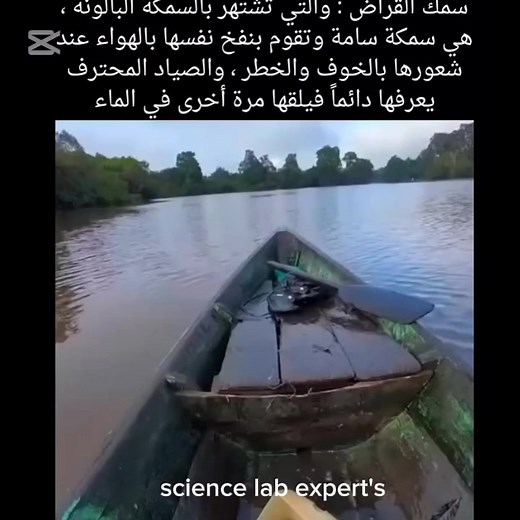 166K views · 437 reactions | #funny #funnyvideos #sketch #خبراء_مختبرات_العلوم #Science_Lab_expert's | خبراء مختبرات العلوم science lab experts | Facebook