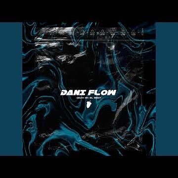Dani Flow (Instrumental Version)