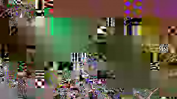 97K views · 612 reactions | Tree-mendous teamwork at its finest!  Watch #TheLastWoodsmen Friday at 10p on Discovery, or stream on discovery+! | Discovery | Facebook