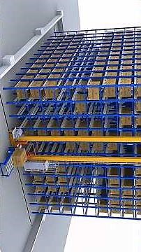 Stacker Crane and Four Way Shuttle ASRS Warehouse Full Inbound to Outbound Workflow