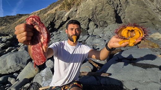 Massive uni harvested at extreme low tide (catch & cook!)