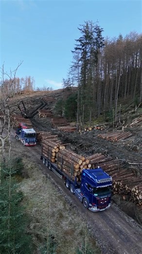 56K views · 1.1K reactions | Making their way through the forests of Scotland, McFadyens Transport Ltd’s Scania trucks look as rugged and beautiful as their surroundings. Determinedly advancing through the wild and challenging landscape, these marvellous Scania trucks look capable of navigating any terrain with ease. Thanks to Campbell McFadyen for this one. Have you done any forest work in your Scania recently? | Scania UK | Facebook