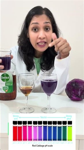 Acid Or Base Test On Dettol | Science Experiment