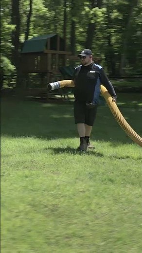 Lawn Disease 101
