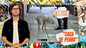 En nuestro país el 63% de las personas tiene un perro como mascota, muchos de ellos pasean a sus animales por la calle. Encontrarse con caca de perro en la vereda es una situación bastante cotidiana en nuestra ciudad, ni hablar si la encontramos en nuestra zapatilla. Harto de este tema, Trinche se quiso involucrar en la cuestión y salió a recorrer lugares en busca de alguna solución. ¡Cortémosla! | Telefe Noticias