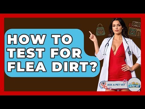 How To Test For Flea Dirt? - Ask A Pet Vet