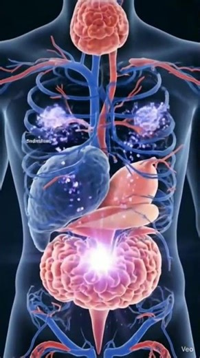 How Your Body Works Like a Machine